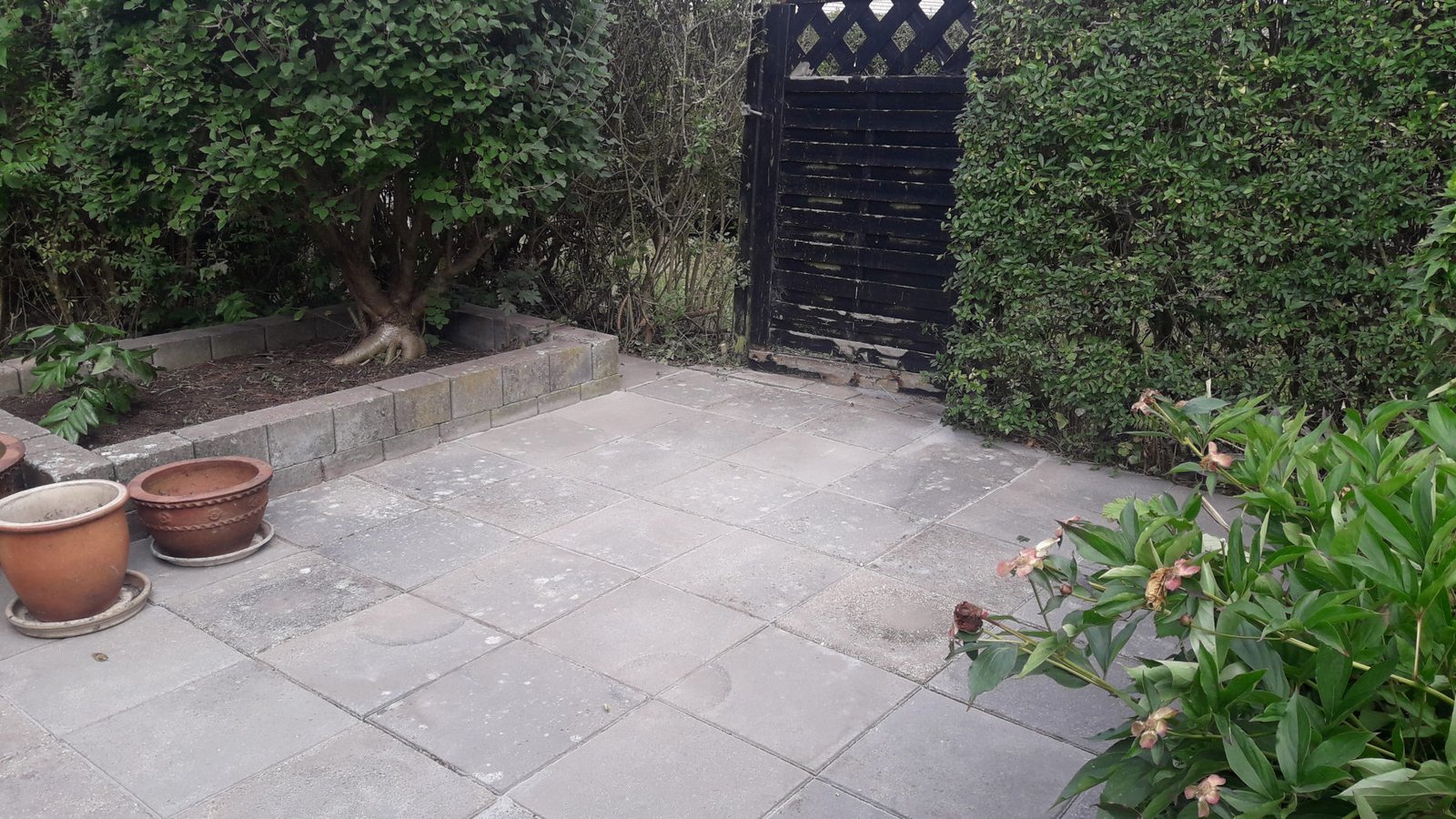 Have vedligehold basis pris pr. m2. pr. år - Billede 6