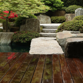 Baghave uden havedam