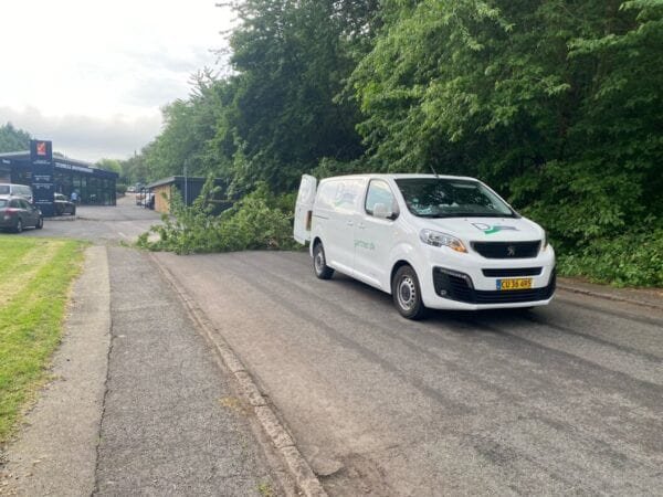 Den bedste og mest sikrer træfældning på Sjælland.