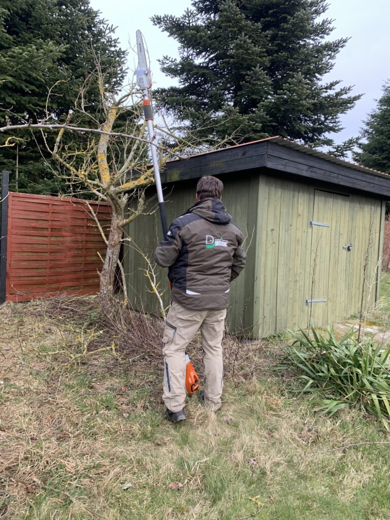 Professionel beskæring af træer foretages af Den Rigtige Gartner. Vores eksperter indenfor beskæring har over 25 års erfaring indenfor beskæring af alle typer planter og træer.