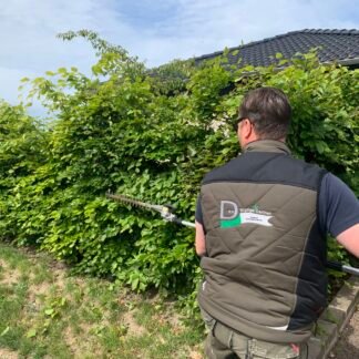 Have vedligehold avanceret pris fra pr. m2 pr. halvår