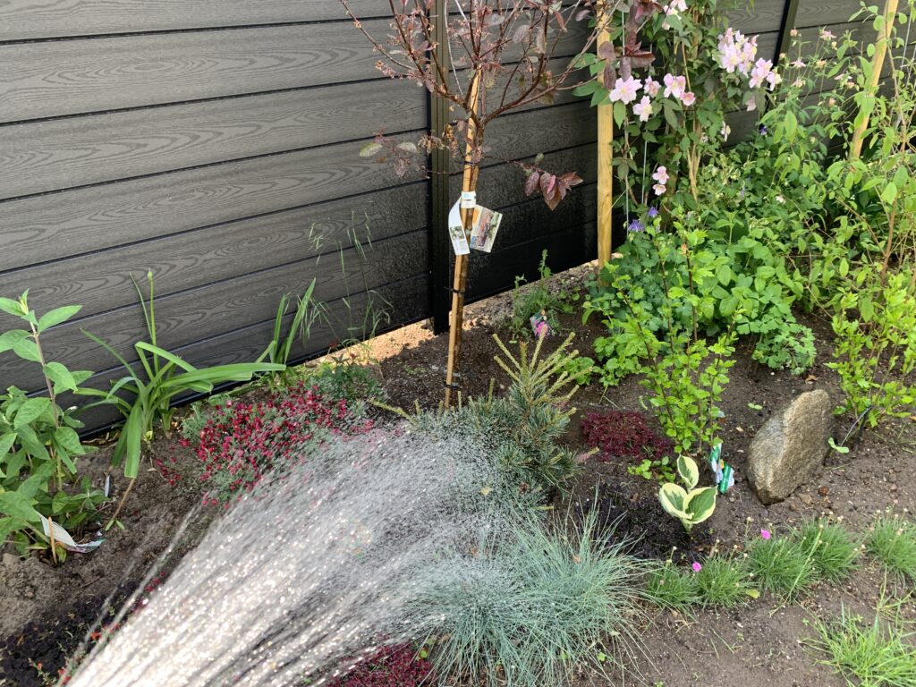 Observation med vores beplantning i Den Rigtige Gartner