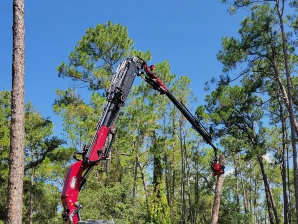 Top professionelle beskærer træer i Den Rigtige Gartner inkl. bortkørsel